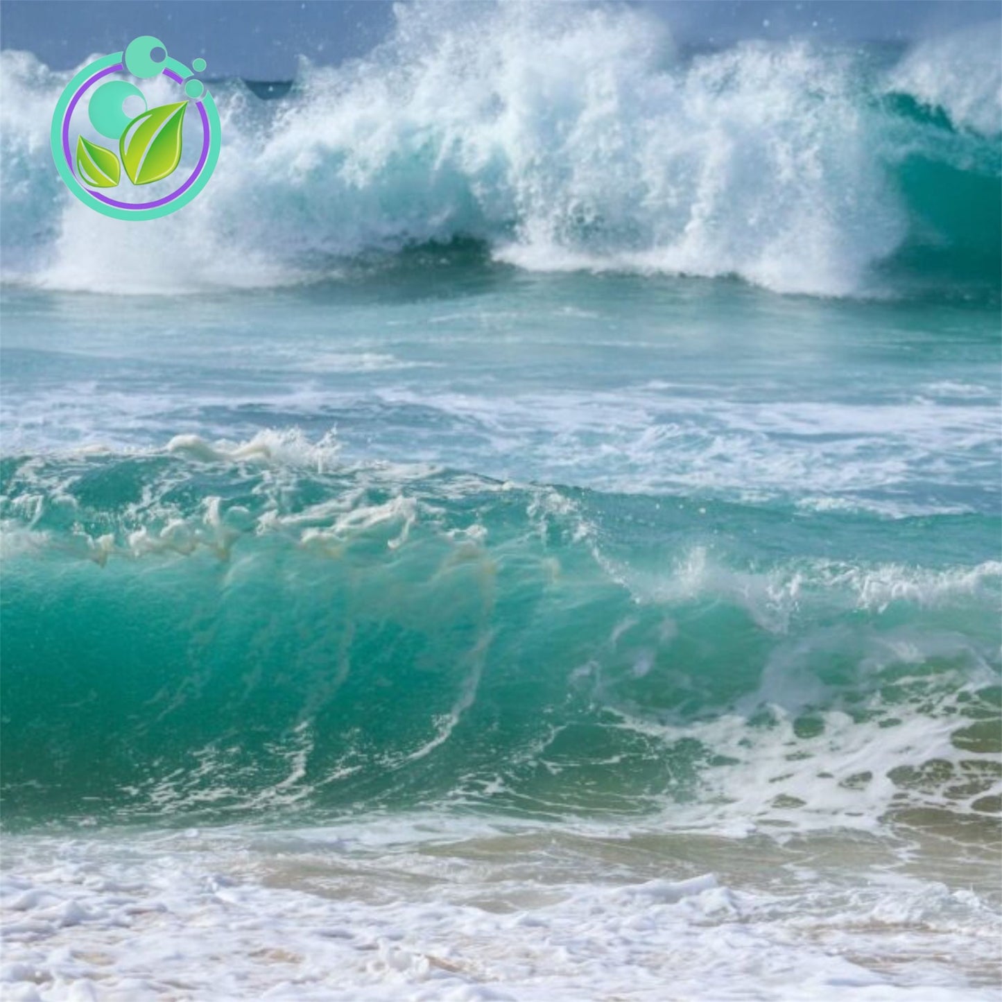 High Tide