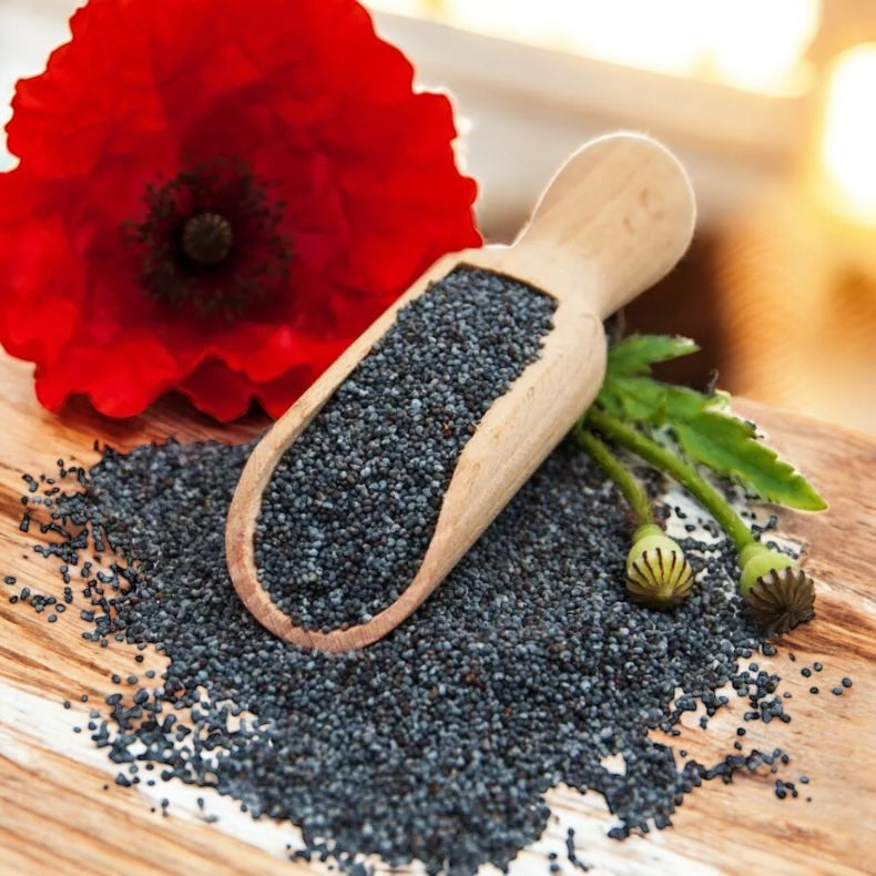 Poppy Seeds (Semillas de Amapola)