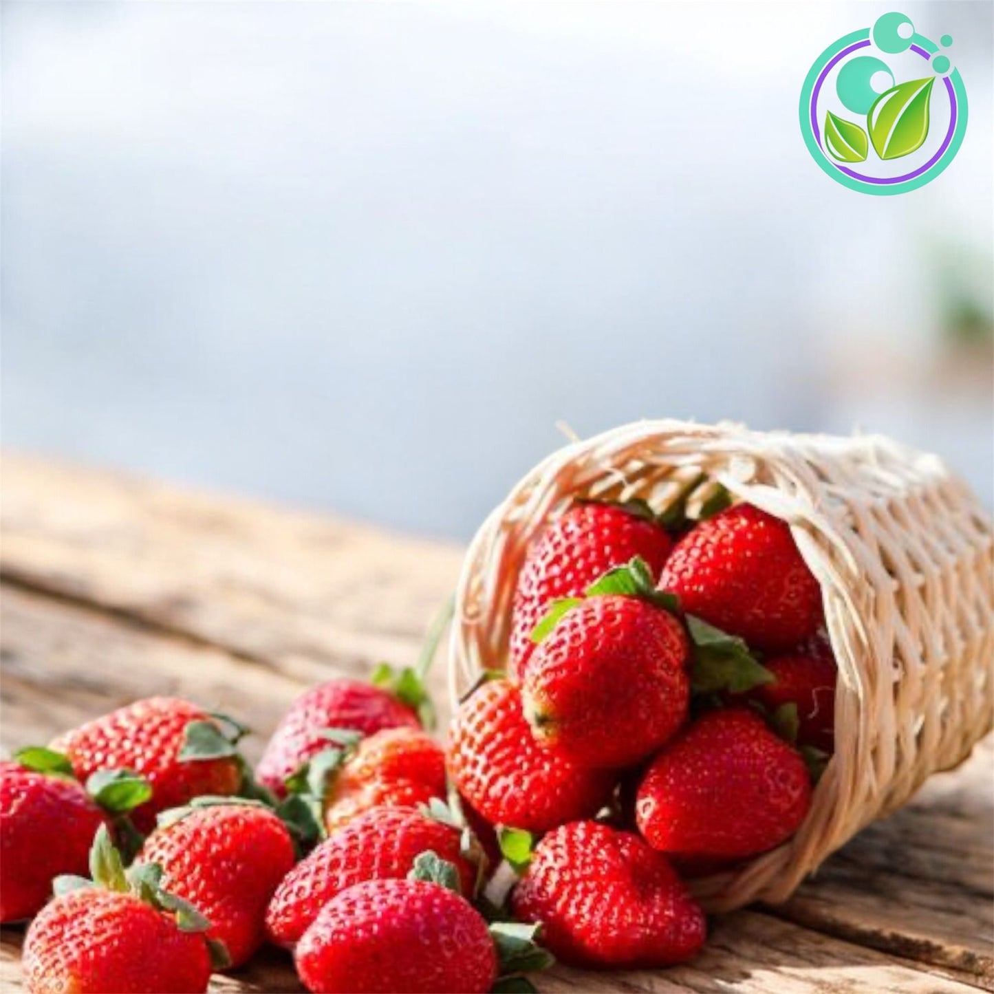 Sugared Strawberry