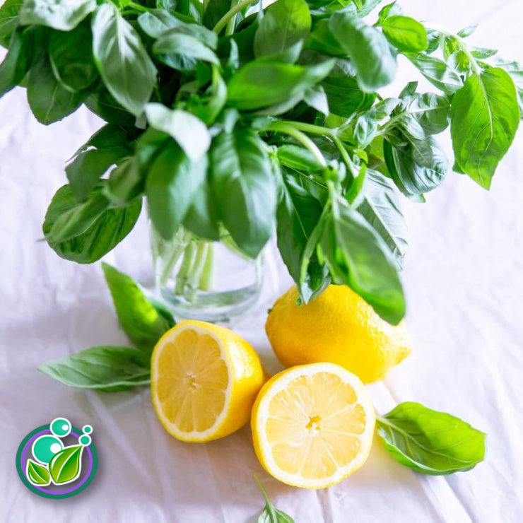 Cool Citrus and Basil