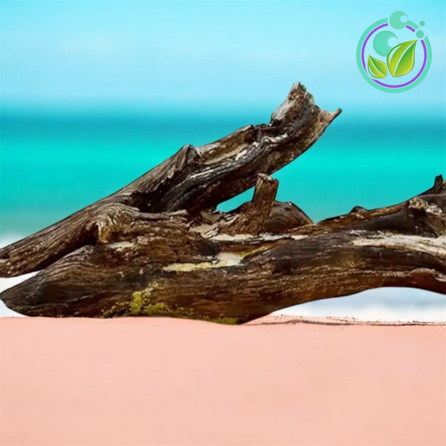 Caribbean Teakwood
