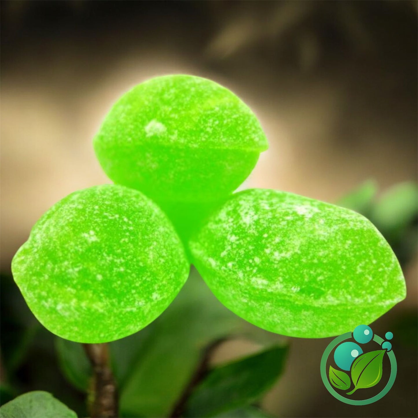 Green Apple Candy