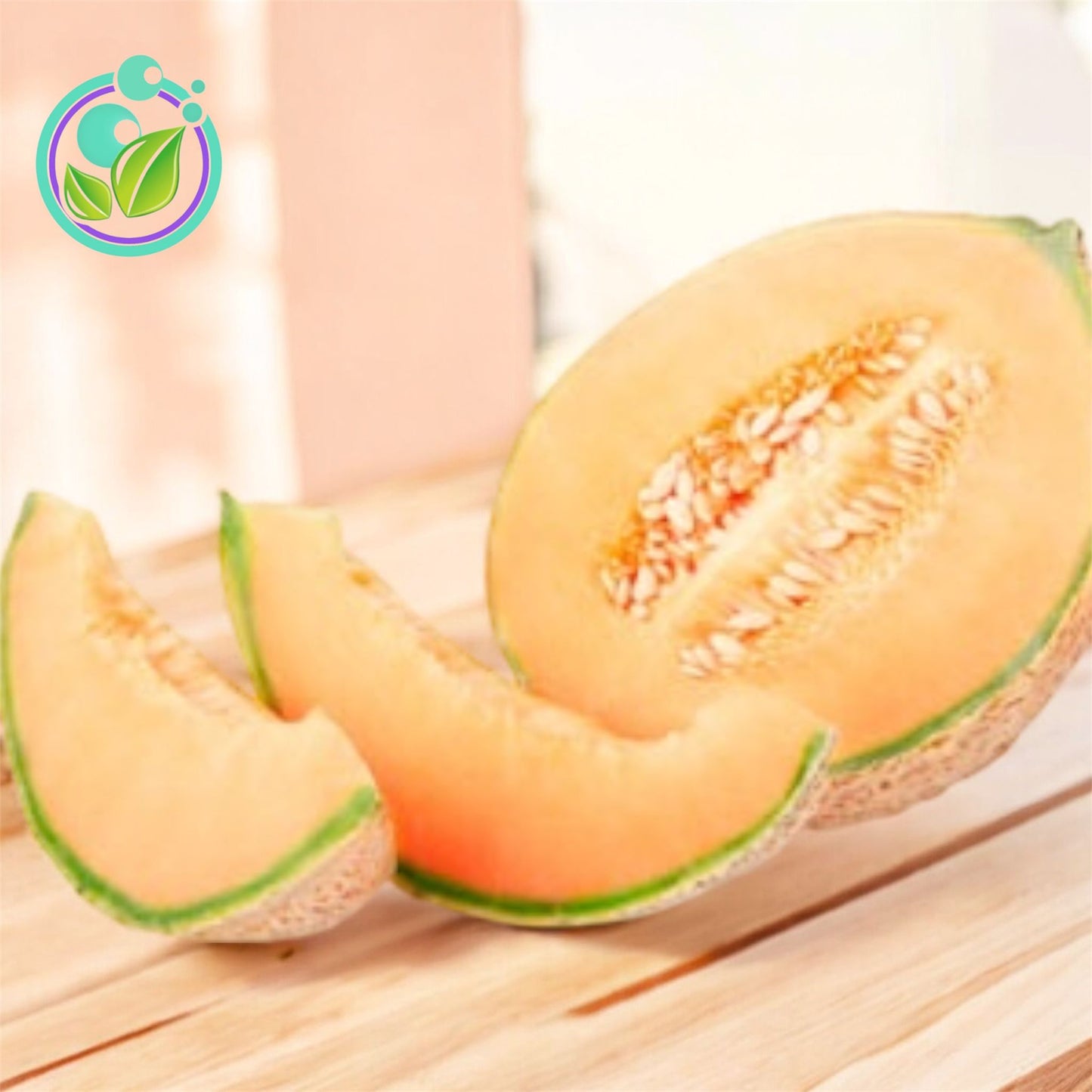 Meloncillo