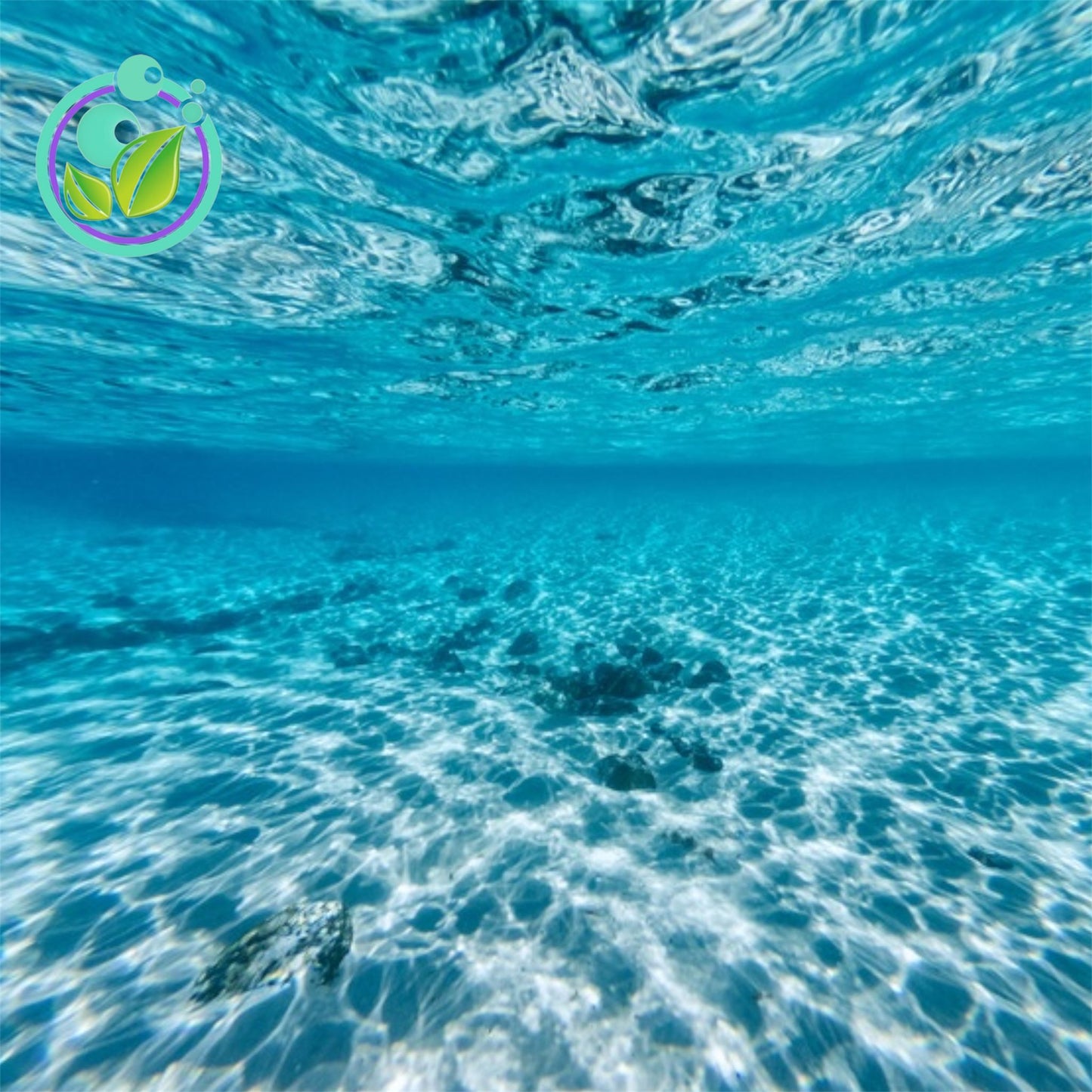 Ocean Marine