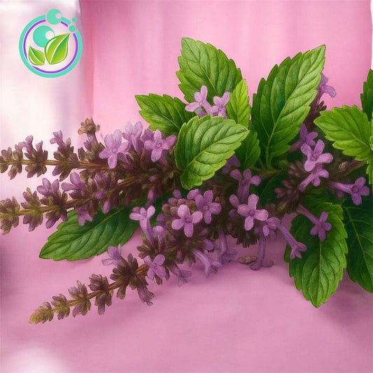 Patchouli