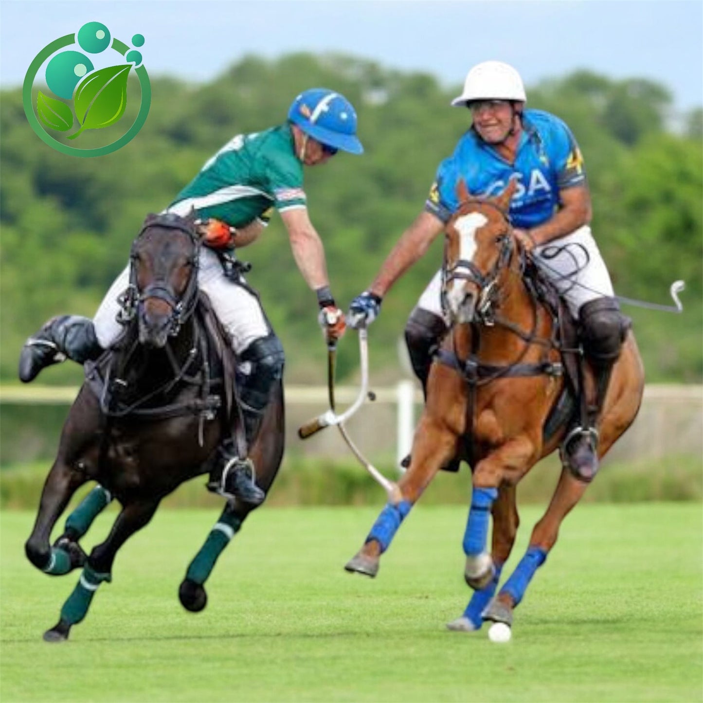 Polo Match