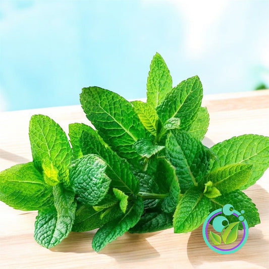 Spearmint