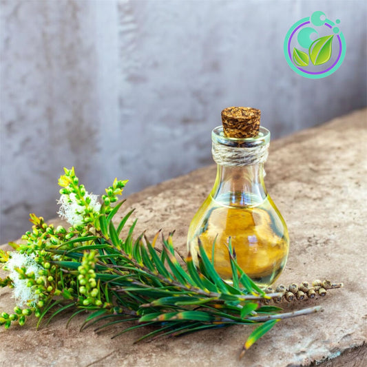 Tea Tree (Melaleuca/Árbol de Té)